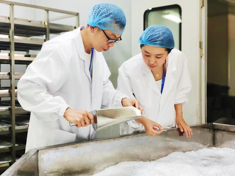 致富种植桔梗视频_种植桔梗致富_种植桔梗效益如何