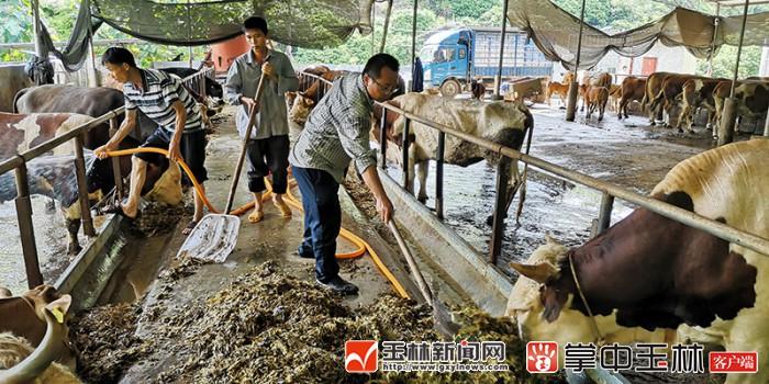北流市大坡外镇：扶贫车间成致富摇篮