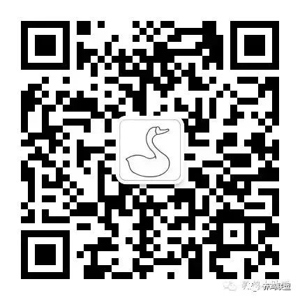 肉鸡放养公司+农户的模式_养殖放养肉鸡技术要求_放养肉鸡养殖技术