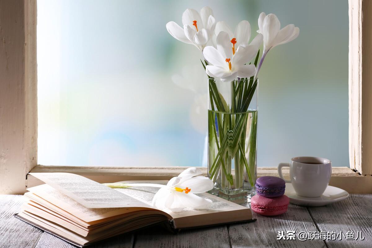 优质课个人经验材料写什么_优质课获奖经验发言稿题目_优质课经验材料博客