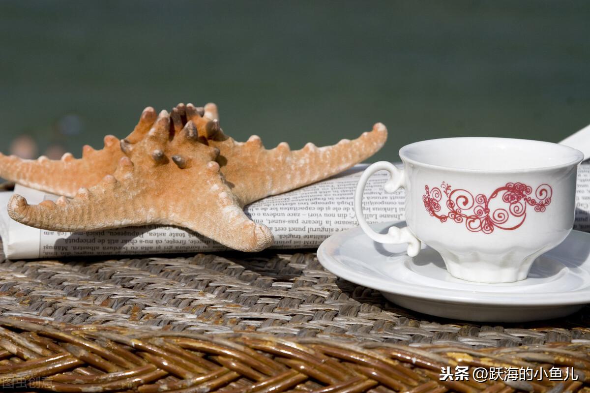 优质课获奖经验发言稿题目_优质课个人经验材料写什么_优质课经验材料博客