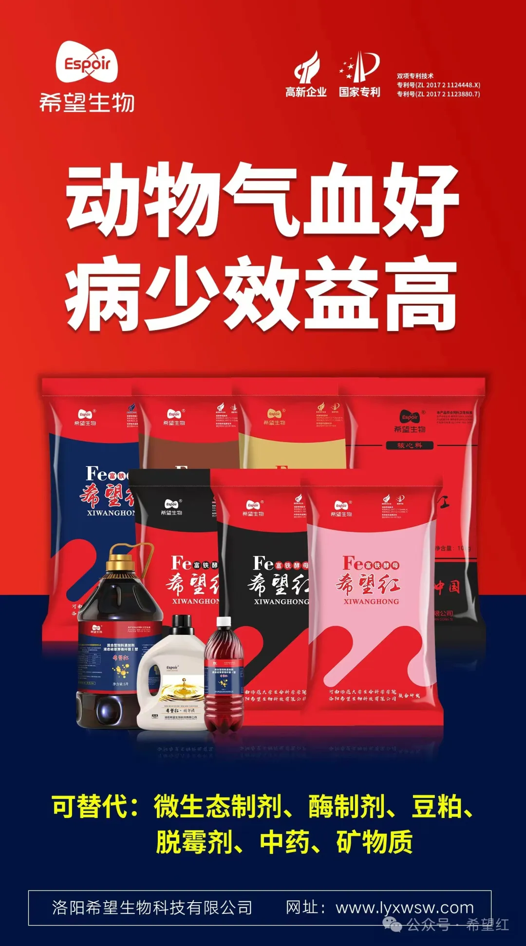 园林养鸡养殖技术_园林养殖养鸡技术规范_园林养殖养鸡技术规程
