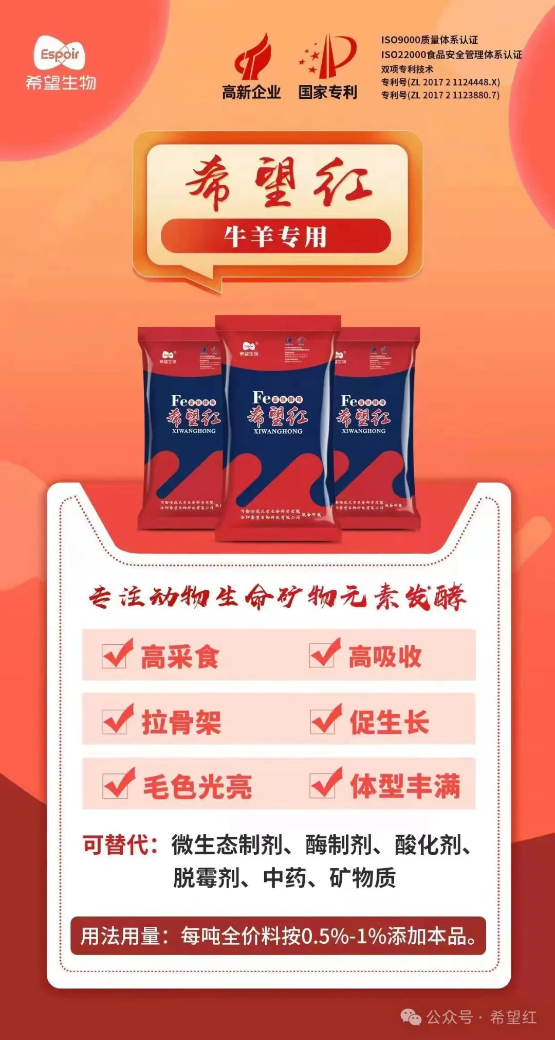 园林养殖养鸡技术规程_园林养鸡养殖技术_园林养殖养鸡技术规范