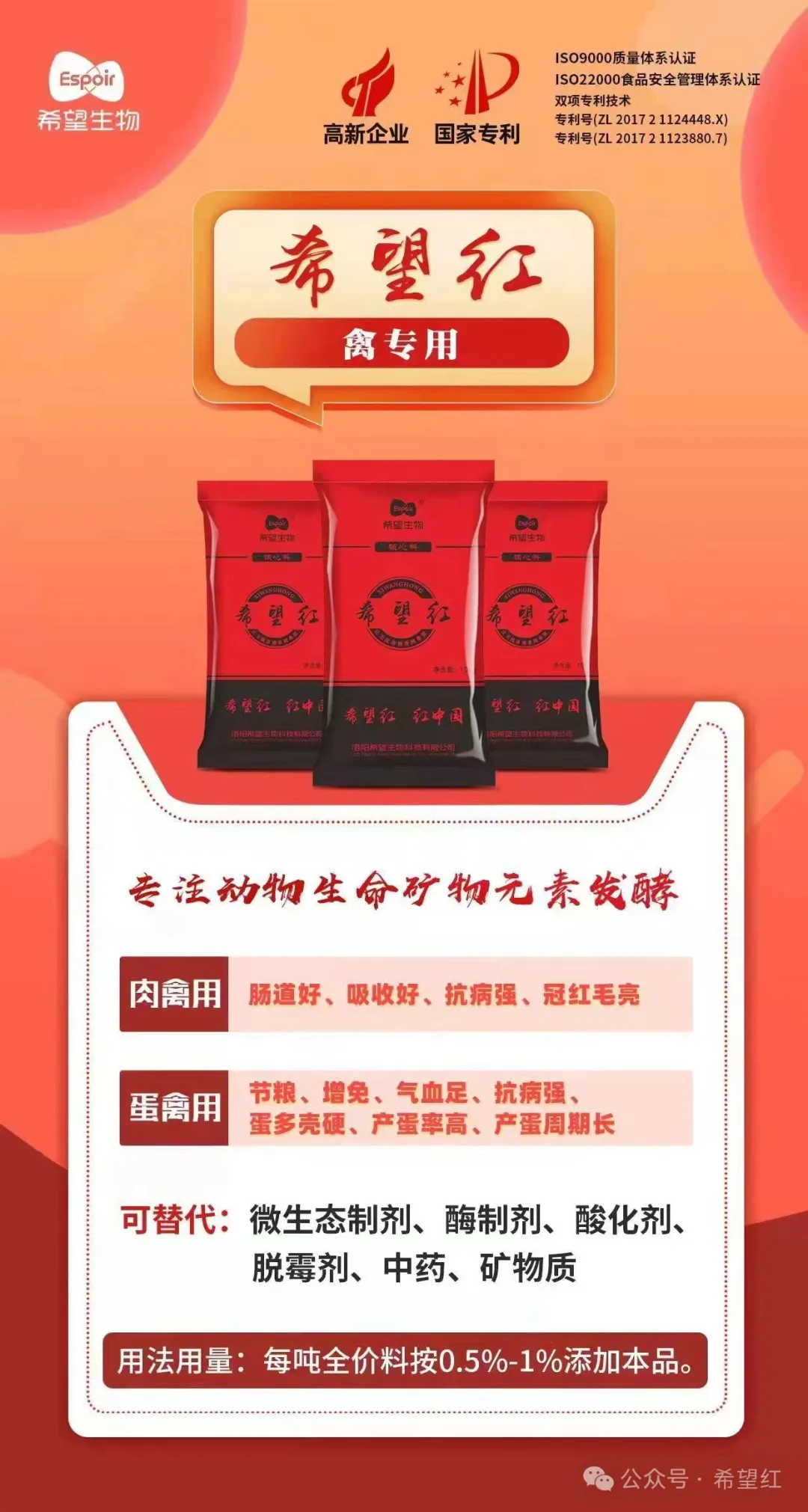园林养殖养鸡技术规程_园林养鸡养殖技术_园林养殖养鸡技术规范