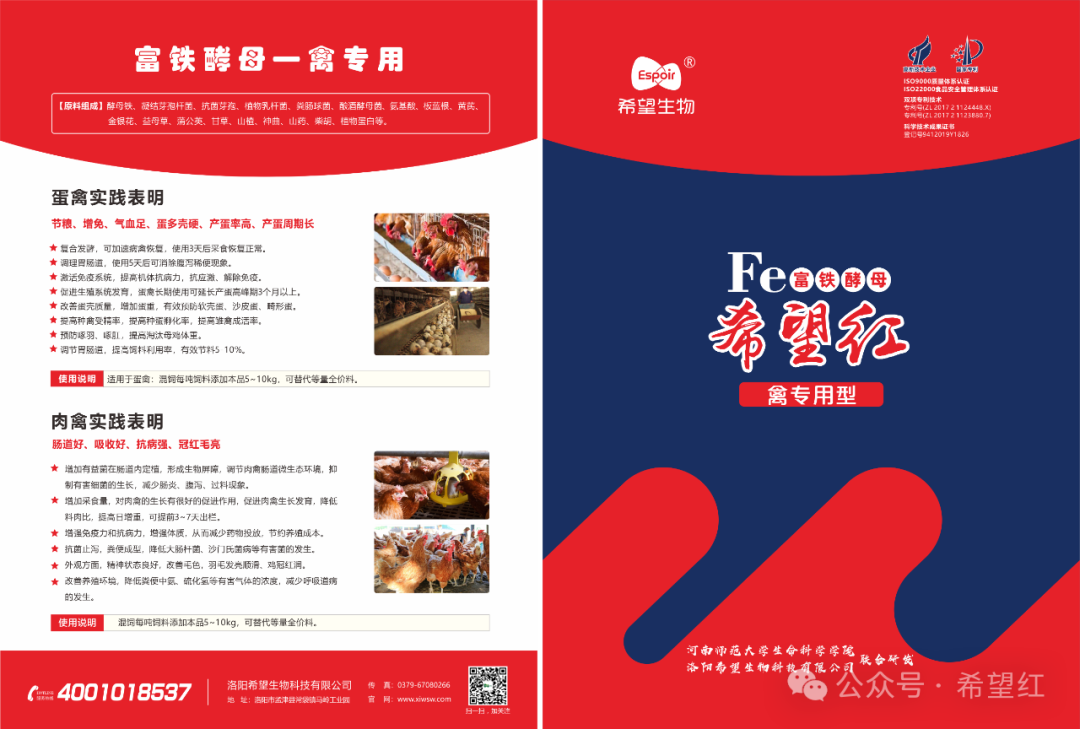 园林养殖养鸡技术规范_园林养殖养鸡技术规程_园林养鸡养殖技术