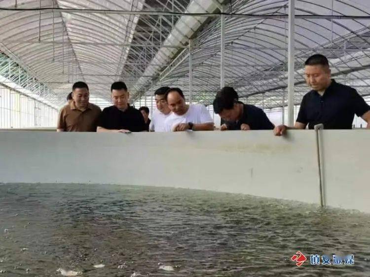 魅力乡镇｜木王镇：致富鱼儿“游”入小山村