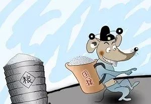 恭城：粮食蛀虫们的“致富经”