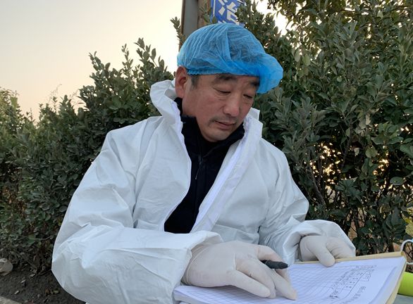 砀山种植致富_致富经砀山梨_砀山县种什么农作物