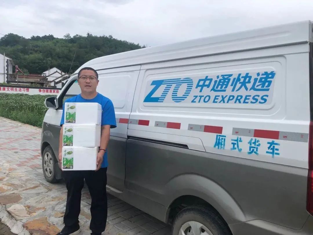 典型案例|快递助秋葵绿叶变致富“金叶”
