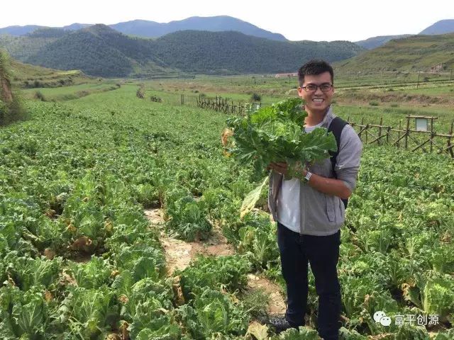 天津绿白菜的种植_天津绿白菜种植技术_天津绿白菜种子