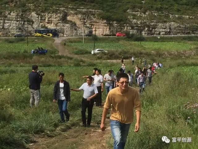 天津绿白菜的种植_天津绿白菜种植技术_天津绿白菜种子