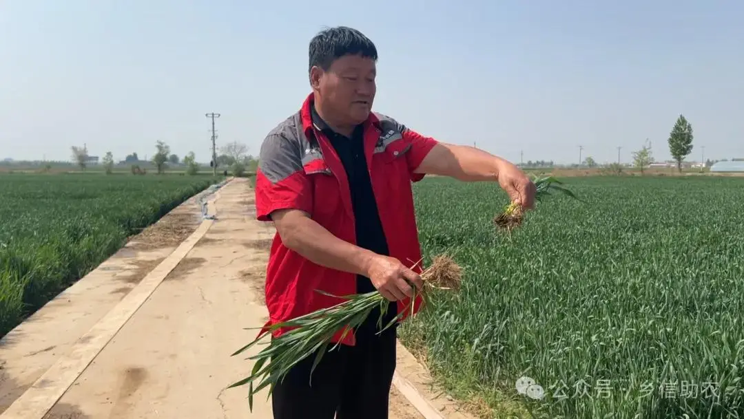 致富经之米块_致富经之米块_致富经之米块