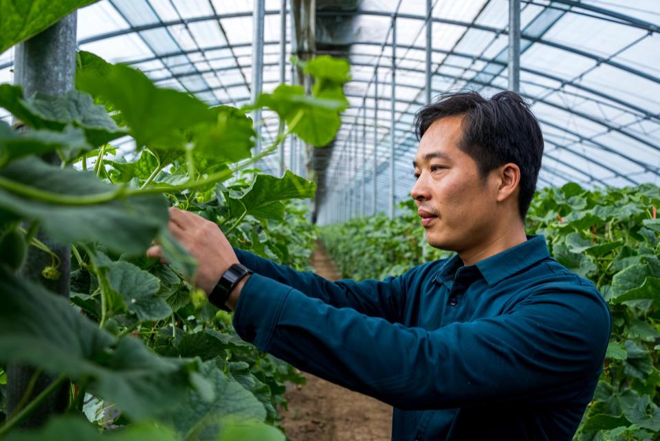 致富种植什么比较赚大钱_致富经创业项目农村种植_种植风景致富经