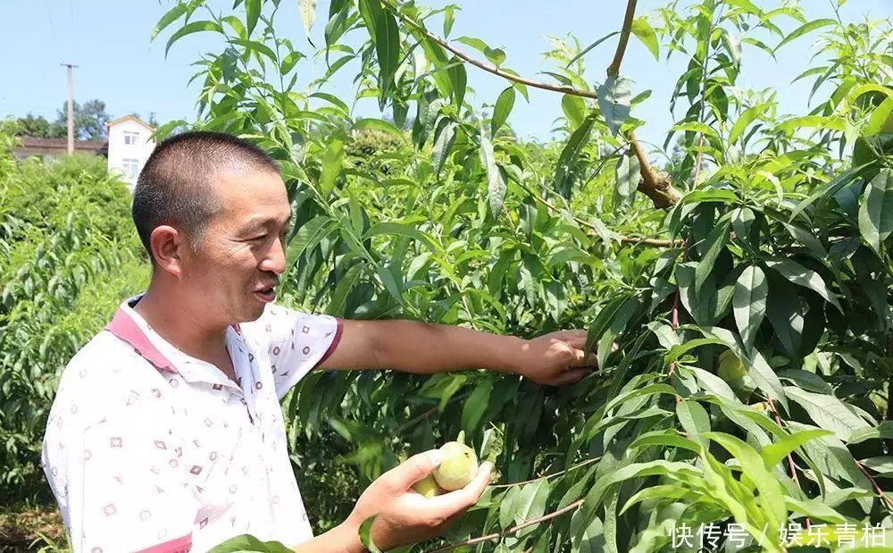 从种植小白到技术骨干，兄弟俩带领乡亲们成为致富好能手
