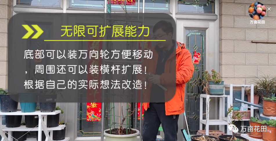 盆栽葡萄苗怎样种植技术_盆栽葡萄的种植技术视频_苗盆栽种植葡萄技术视频教程