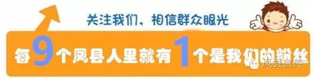 想学种养殖技术？想咨询农业相关政策？快看！凤县“科技之春”宣传月活动开始了…