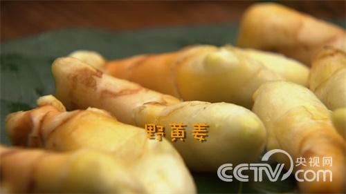 [致富经]云南曲靖高小叶赚钱法宝山里找