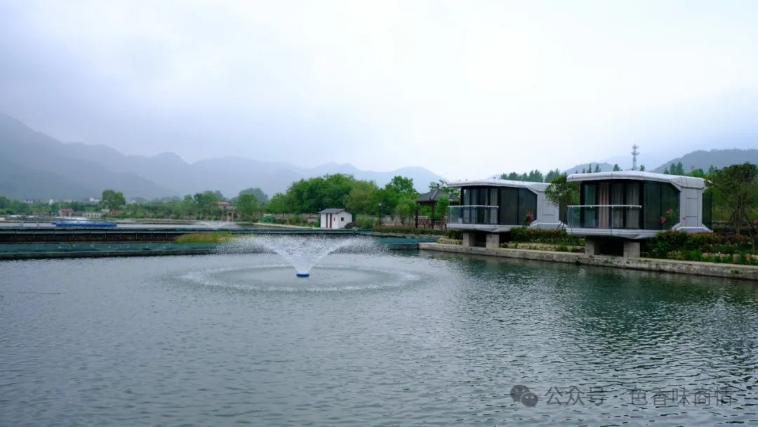 鳡鱼养殖技术_鮰鱼的养殖技术_鳊鱼养殖技术