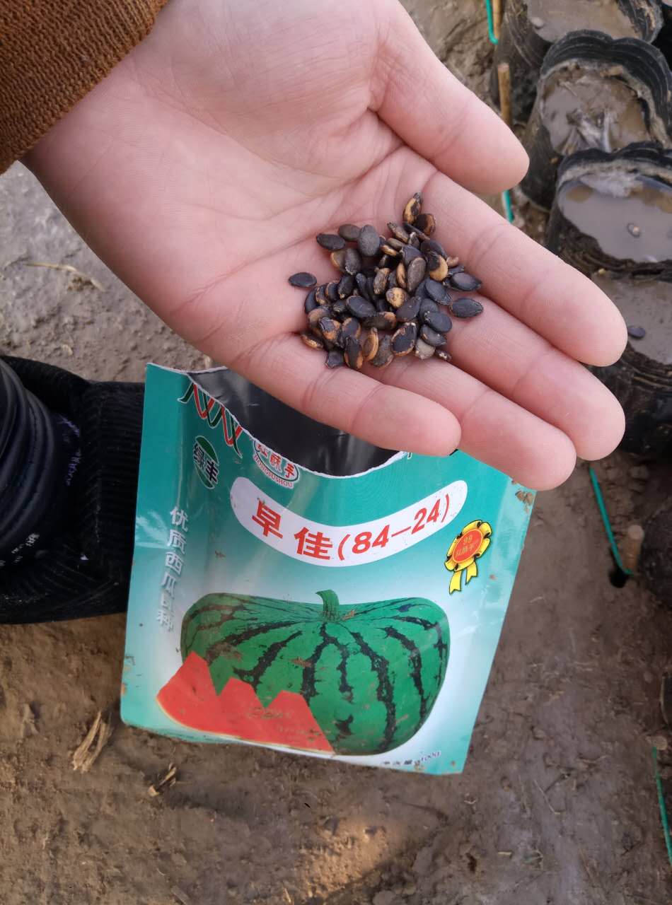 致富种植农民工故事简短_农民工种植致富故事_致富种植农民工故事视频