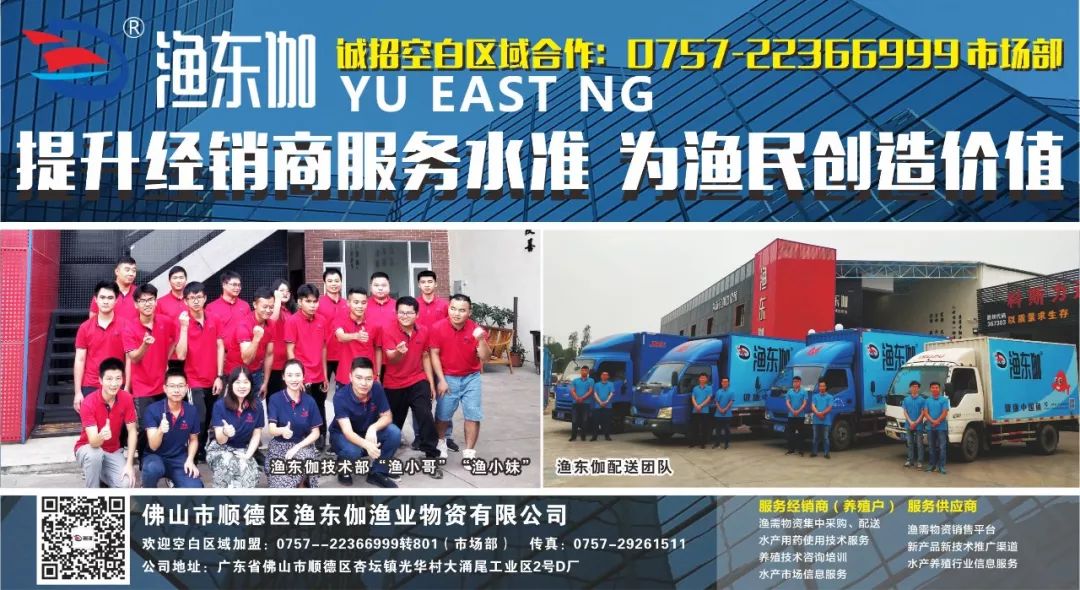 养殖黄颡鱼技术视频_黄颡鱼人工养殖_黄颡鱼成鱼养殖技术