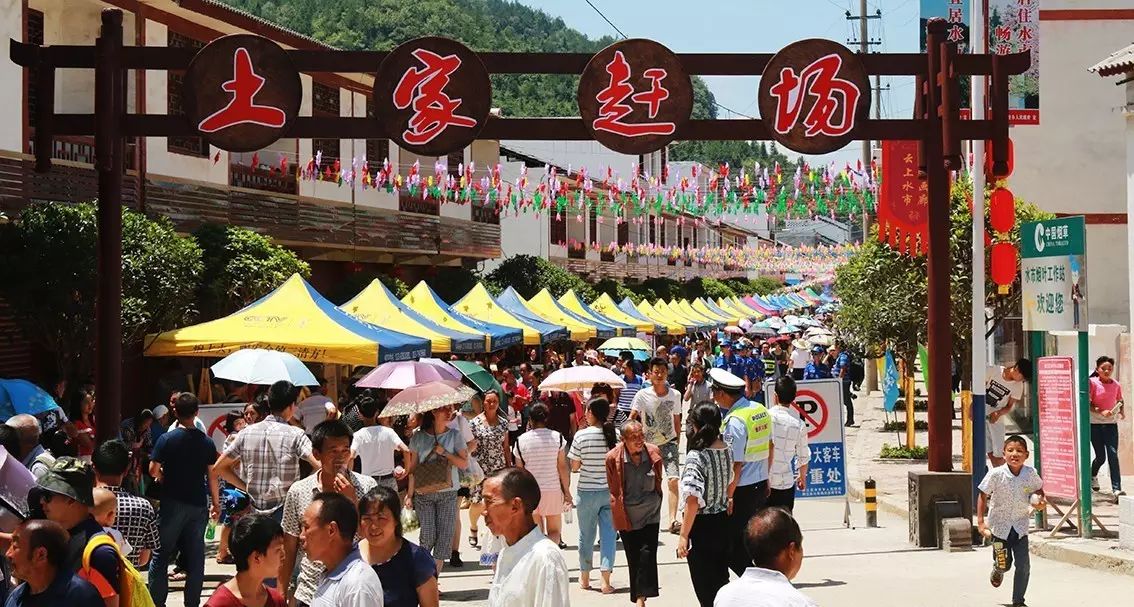 致富网农村项目养殖业_致富养殖信息_黔江最新养殖致富