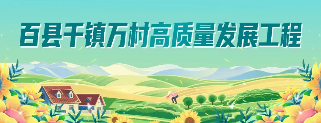 种地致富项目_荒地种植什么能赚钱_荒地种植致富