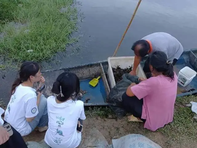 湖北省养殖龙虾的自然条件_湖北小龙虾养殖_湖北小龙虾养殖技术