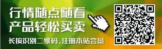 板蓝根种植赚钱吗_农业种植致富项目板蓝根_2021年种植板蓝根前景