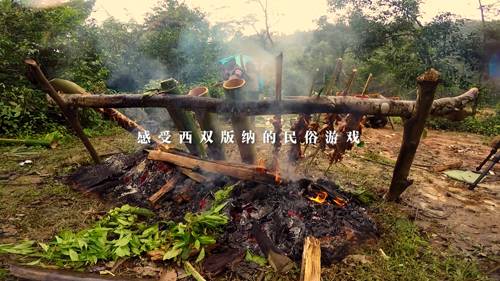 致富经90后美女养鸡_致富经cctv7养鸡视频全集_致富经女人养鸡视频