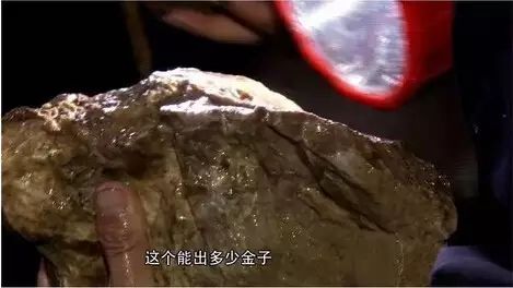 致富经90后美女养鸡_致富经女人养鸡视频_致富经cctv7养鸡视频全集