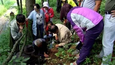 致富经女人养鸡视频_致富经90后美女养鸡_致富经cctv7养鸡视频全集