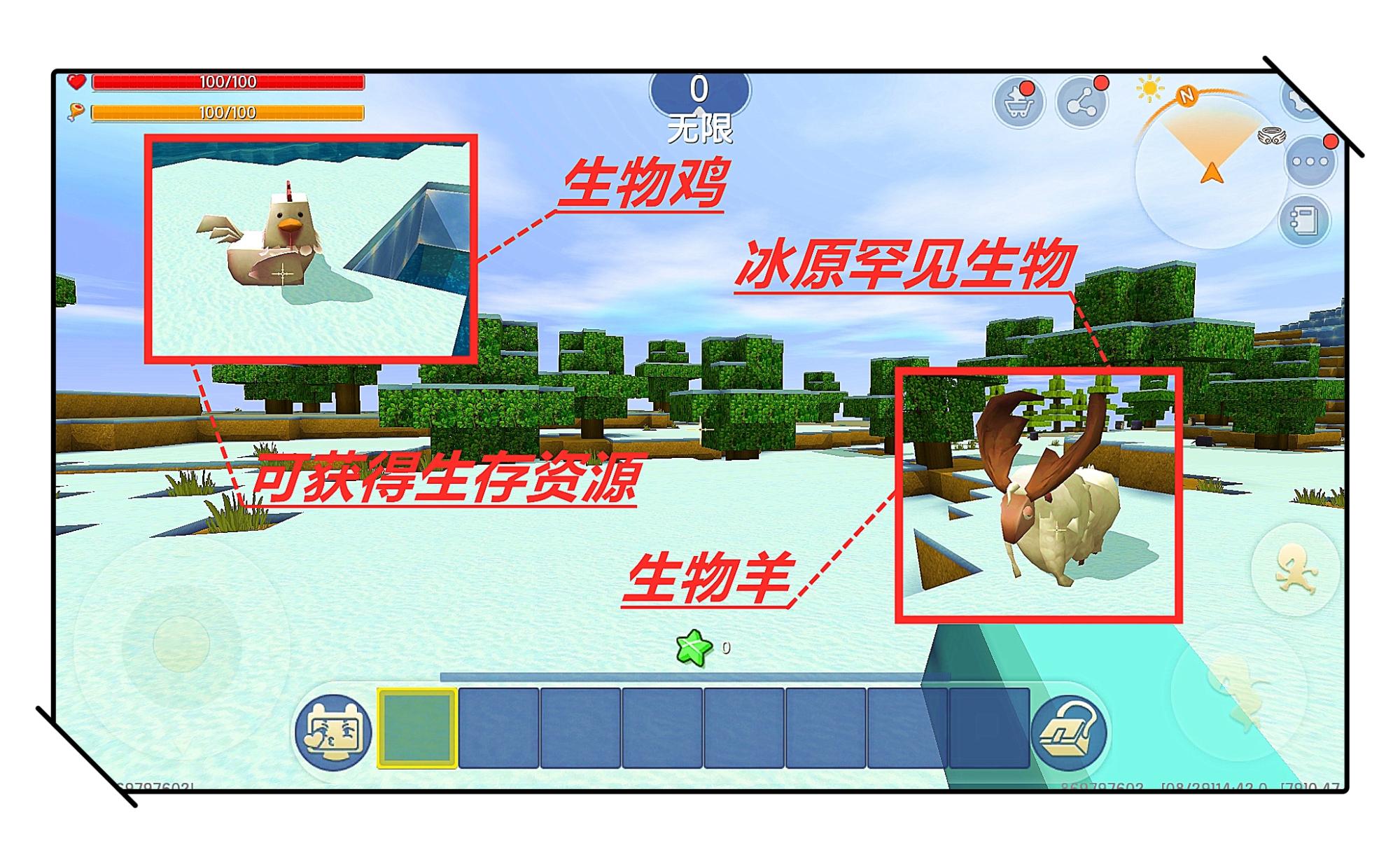养殖羊稀奇技术有哪些_养殖羊稀奇技术视频_稀奇羊养殖技术