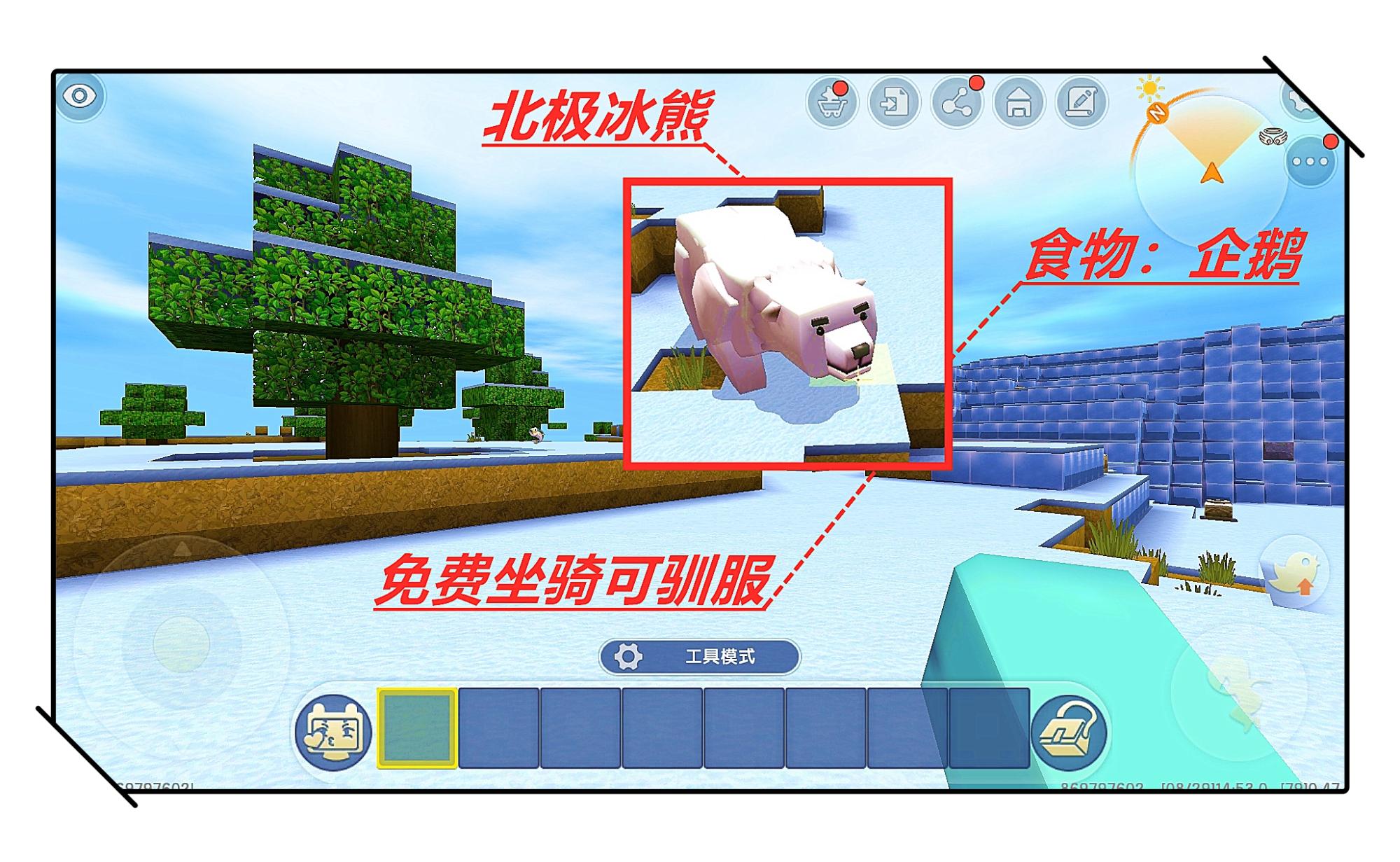稀奇羊养殖技术_养殖羊稀奇技术视频_养殖羊稀奇技术有哪些