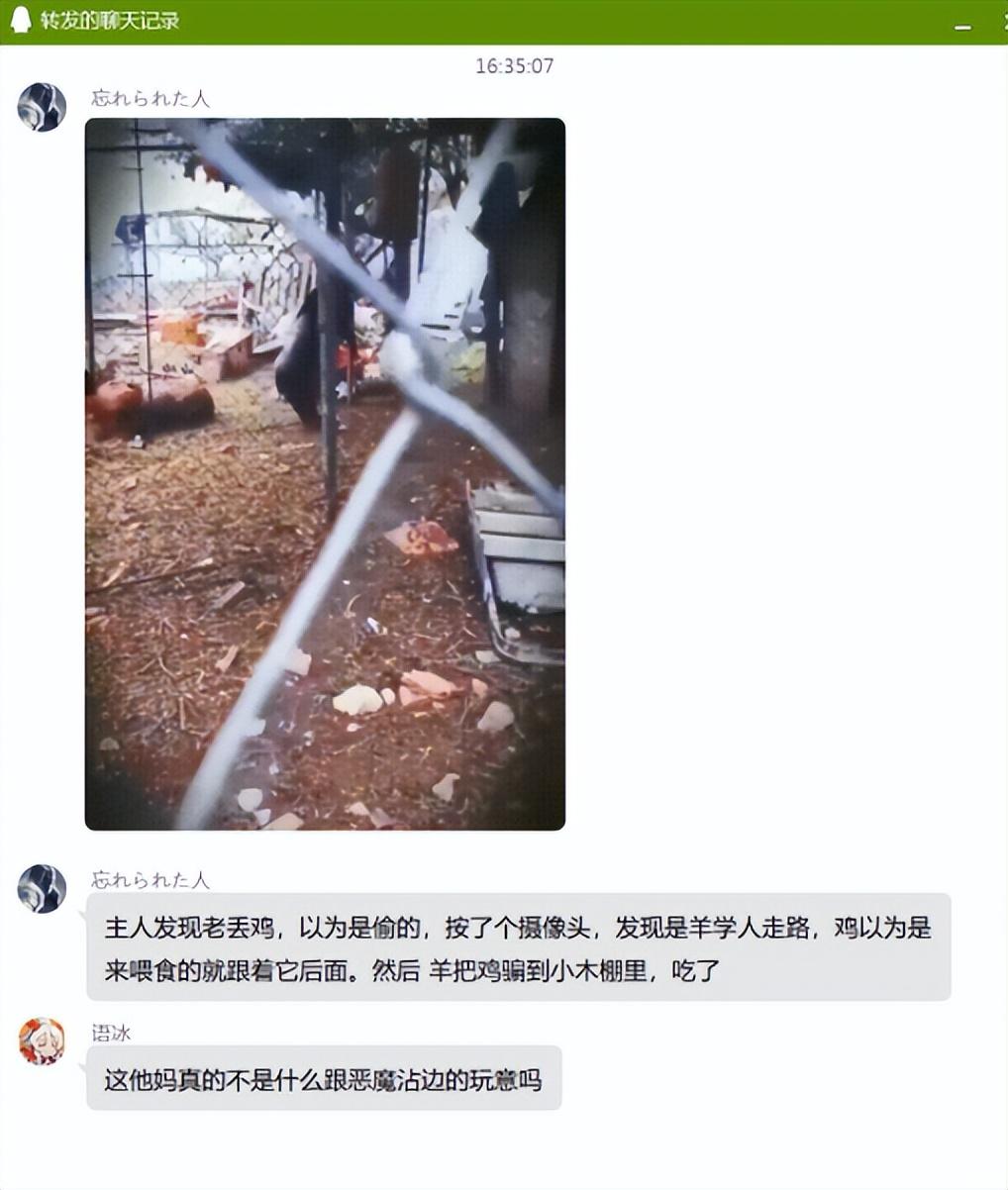 稀奇羊养殖技术_养殖羊稀奇技术视频_养殖羊稀奇技术有哪些