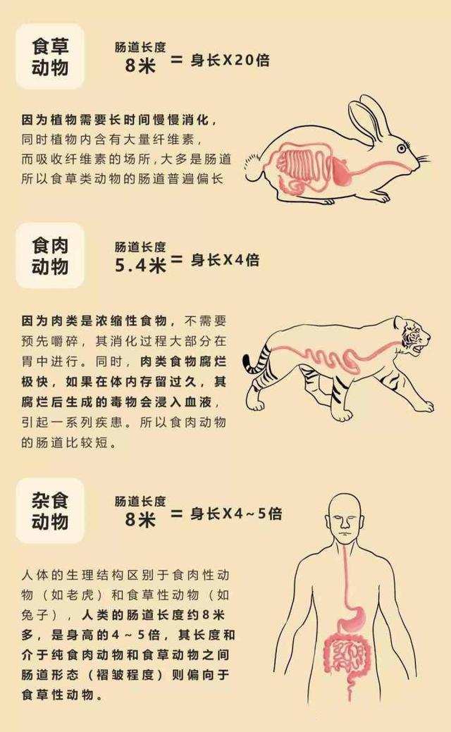 养殖羊稀奇技术视频_稀奇羊养殖技术_养殖羊稀奇技术有哪些