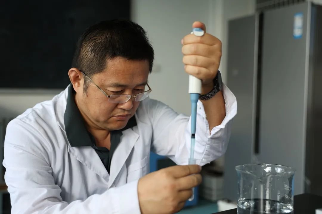 昆虫养殖赚钱吗_昆虫养殖什么市场前景看好_昆虫养殖规模现状技术
