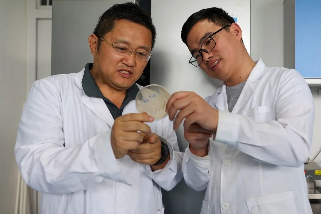昆虫养殖赚钱吗_昆虫养殖规模现状技术_昆虫养殖什么市场前景看好