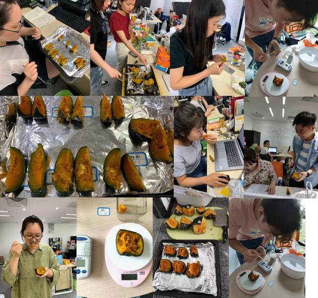 南瓜种植日本露地技术与管理_南瓜种植日本露地技术要求_日本南瓜露地种植技术
