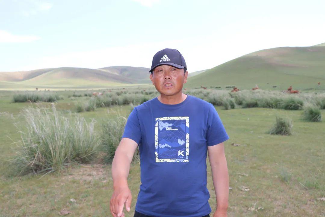致富经养殖牛_夏洛莱牛养殖致富经_海南养殖致富新闻