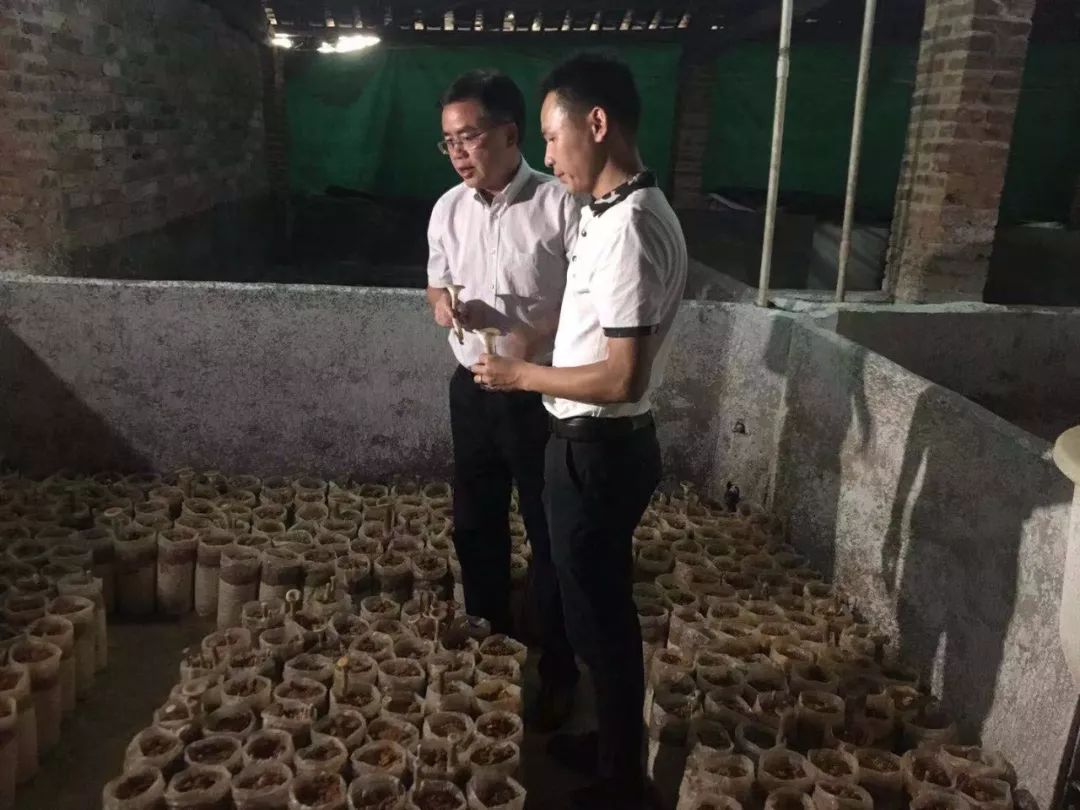 农种网下载_农一网种植技术_农业种植技术的网站
