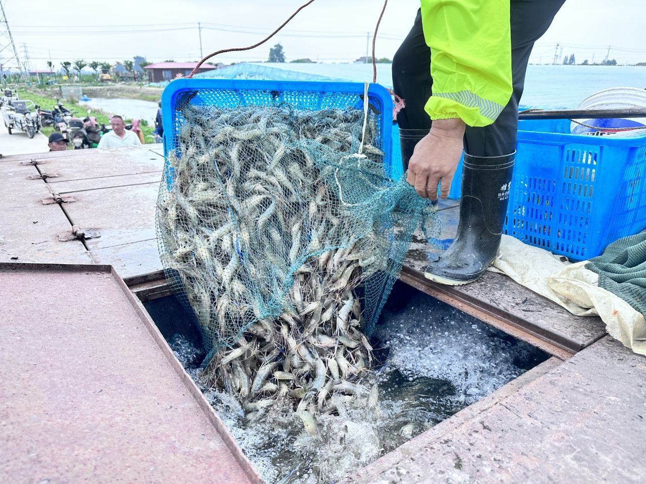 室内养植致富项目_室内养殖什么致富_致富养殖室内设计