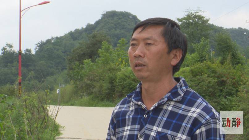 致富经重楼种植视频_致富经重楼_致富经重楼种植