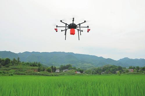“保姆式”托管服务的农业实践