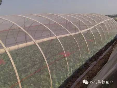 泰安土元养殖技术_土元养殖要多少成本_土元养殖户