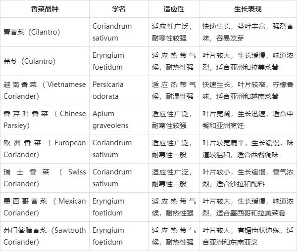 香菜栽培时间与管理技术_香菜种植技术与时间_香菜种植技术时间是多少