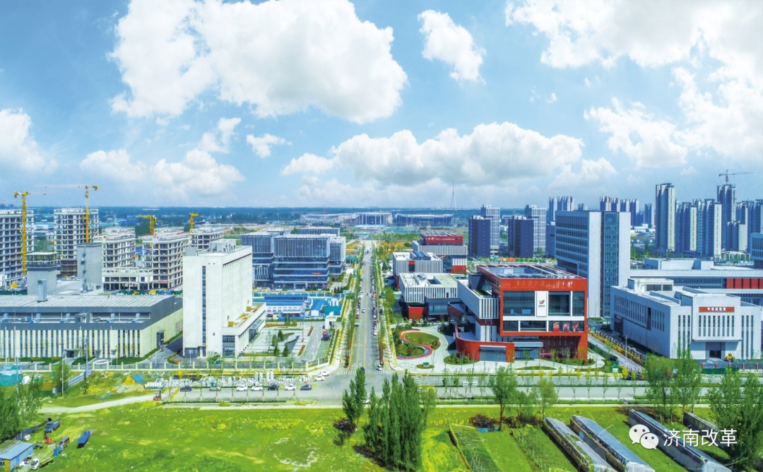 山东济南金蝉养殖技术_济南金蝉养殖基地_济南养殖山东金蝉技术公司