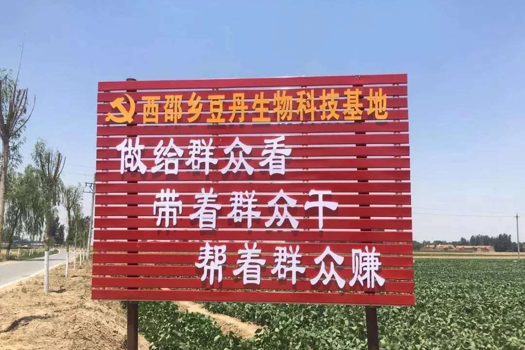 奇！南乐县这个村百亩良田种豆为得虫