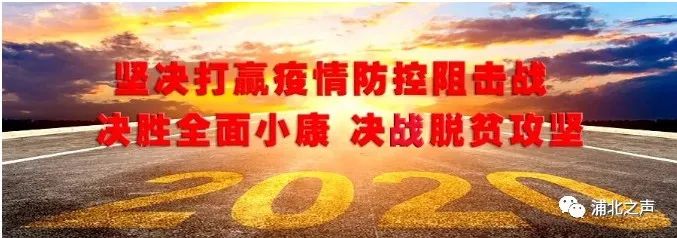 【千名记者一线行】种豆+养猪，我们村致富有门路