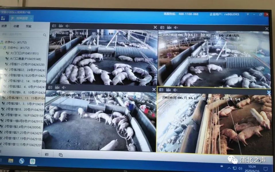 种豆养殖致富_致富经豆制品_致富豆养殖种子图片