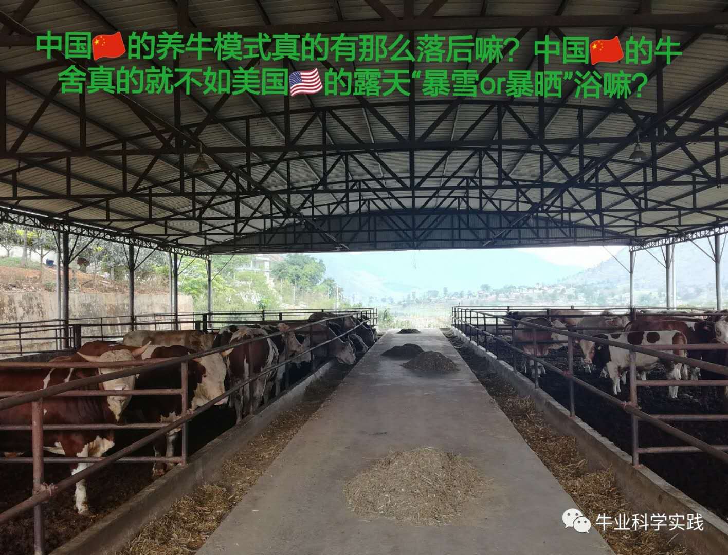 养牛技术网下载_关于养牛网站_牛养殖技术网站